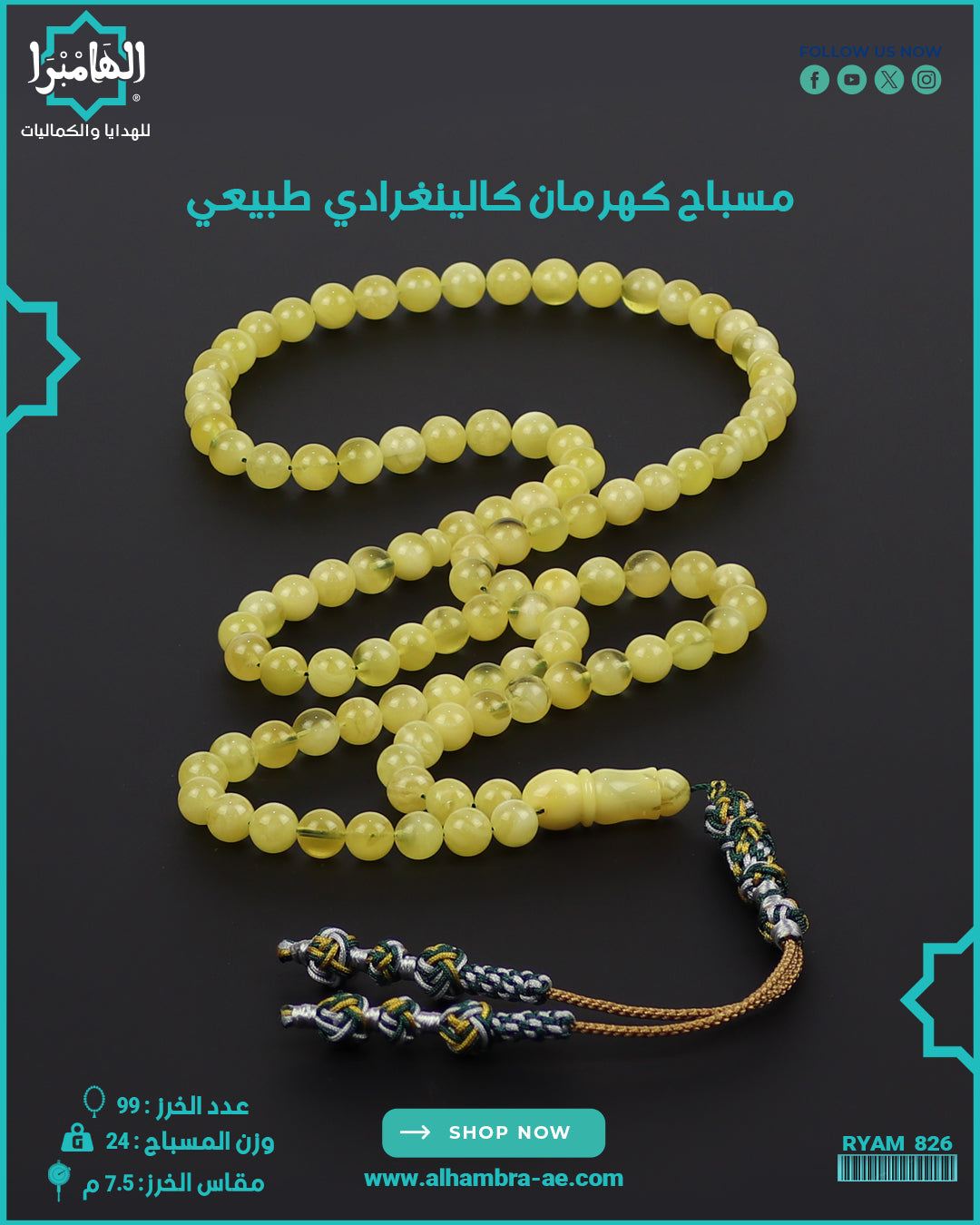 مسباح كهرمان كالينغرادي