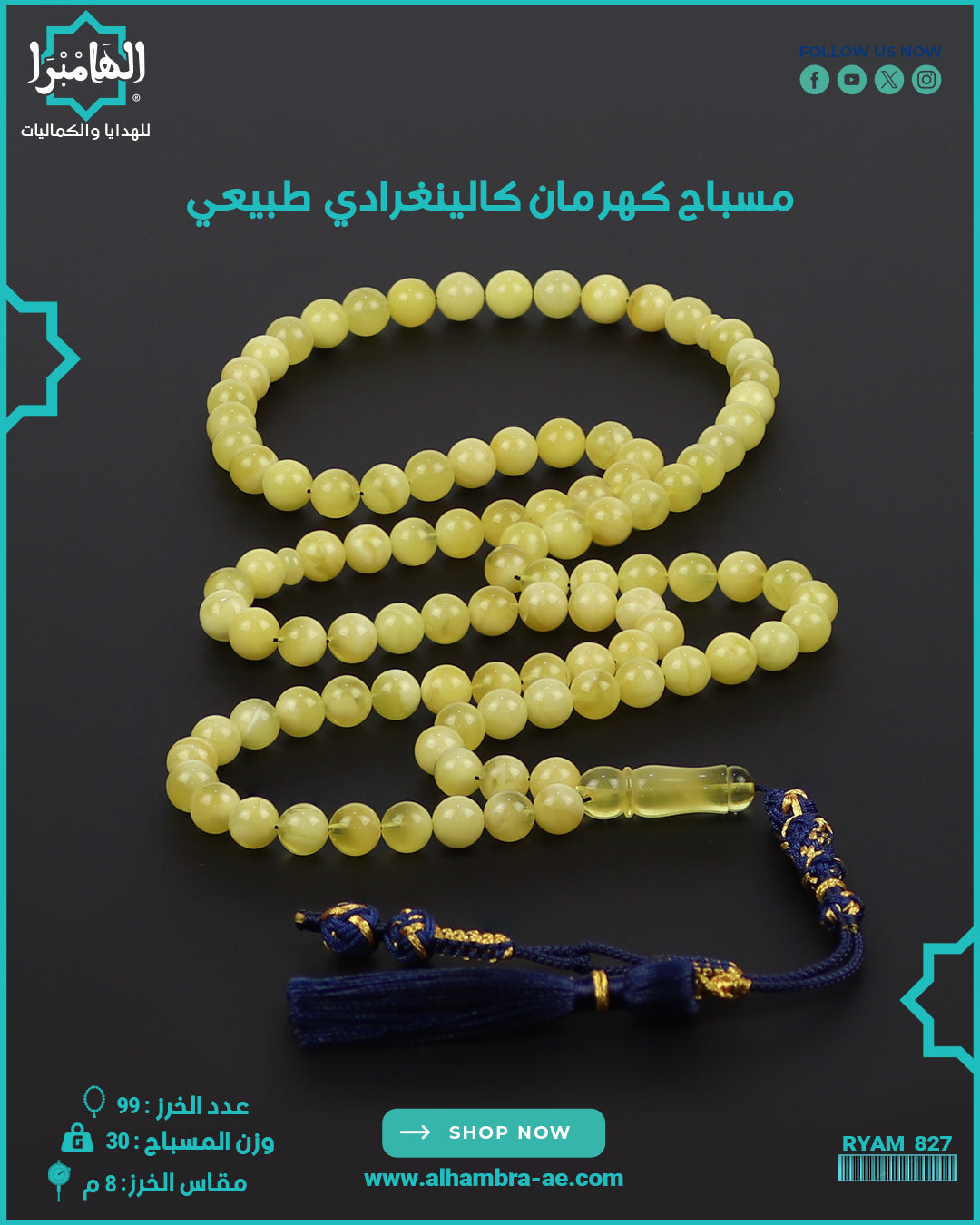 مسباح كهرمان كالينغرادي