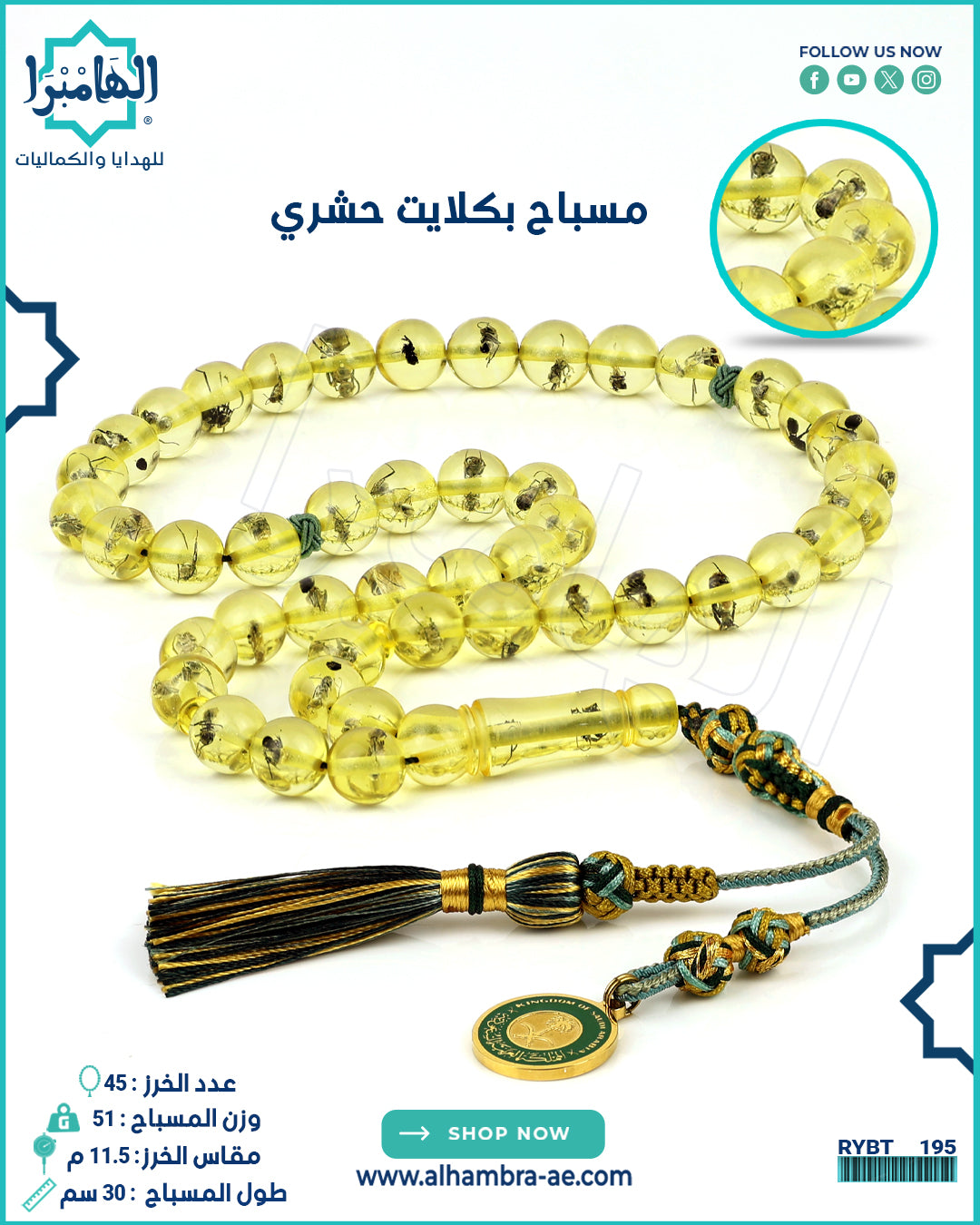 بكلايت حشرات