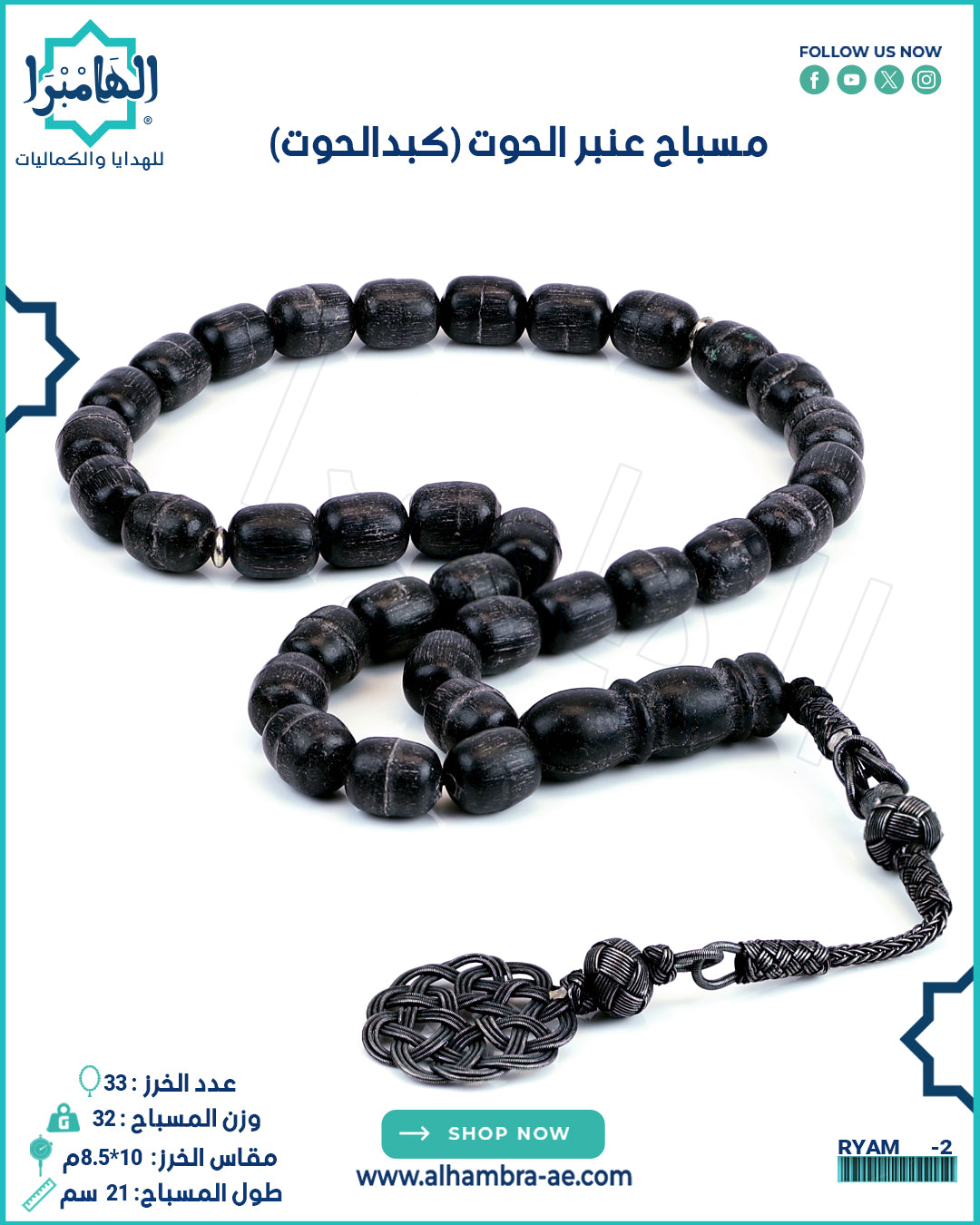 كبد الحوت