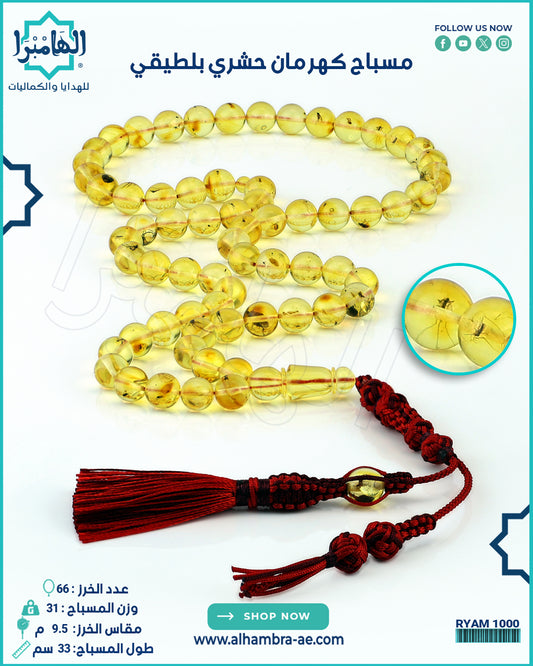 كهرمان حشري