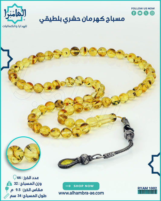 كهرمان حشري