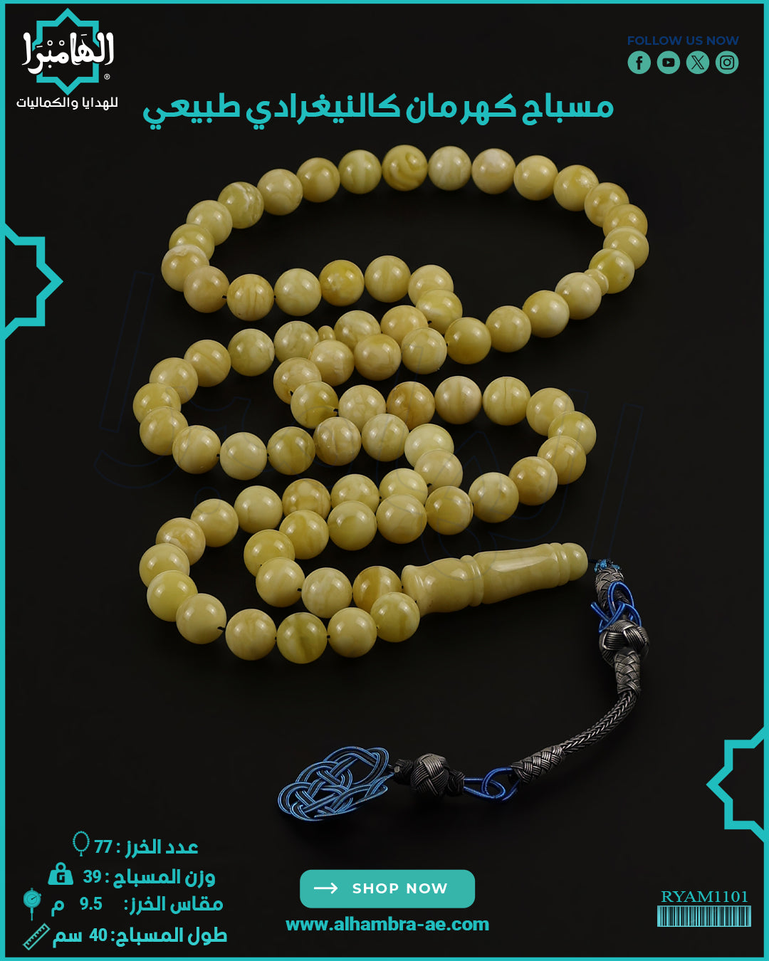 كهرمان كالينغرادي