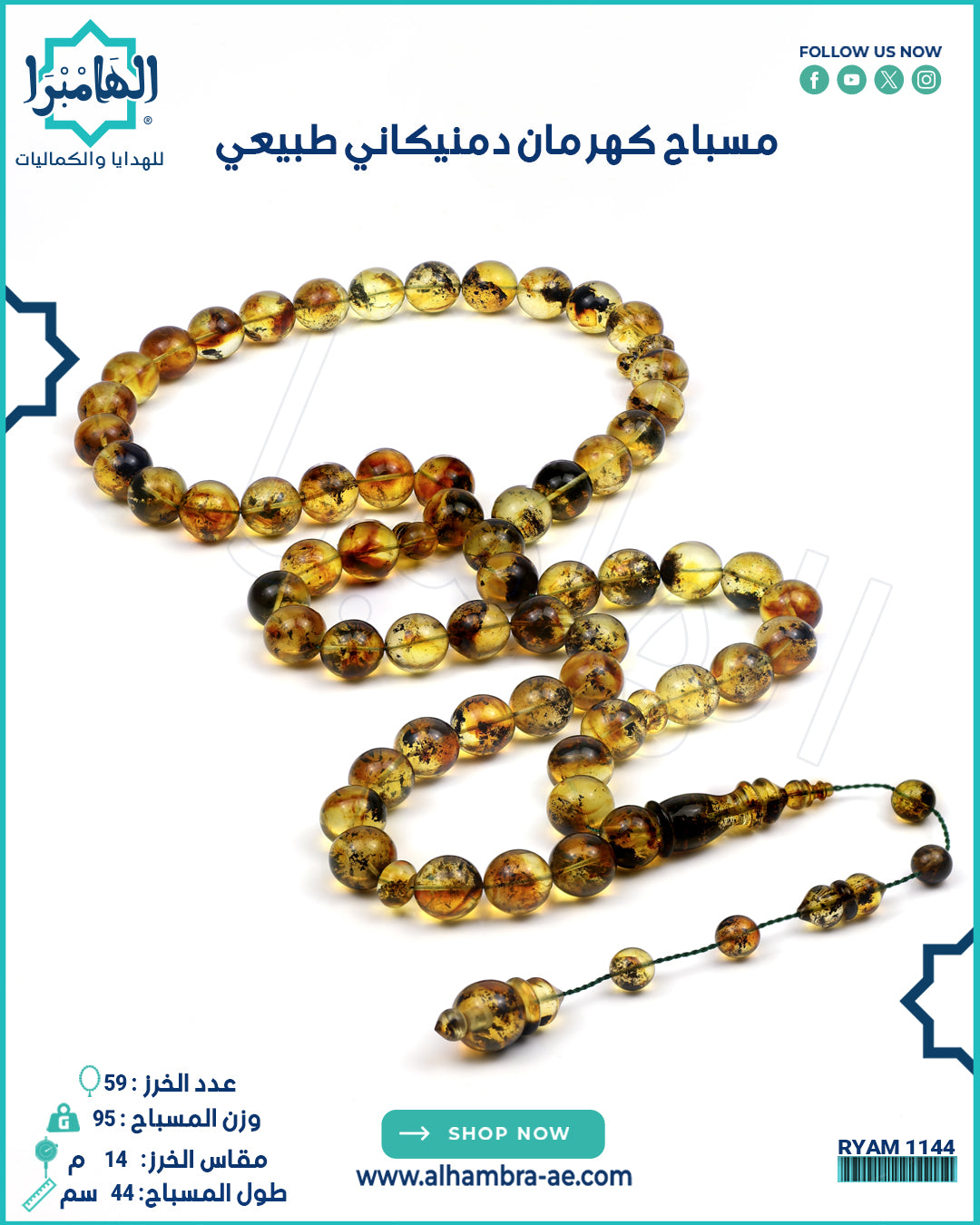 دومينكاني