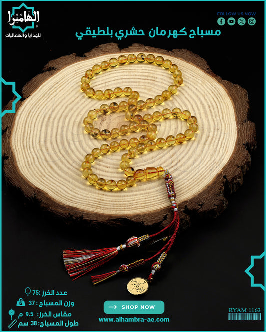 كهرمان حشري