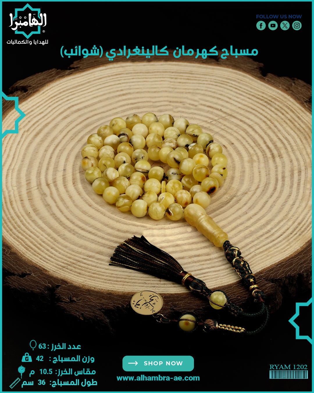 كهرمان كالينغرادي