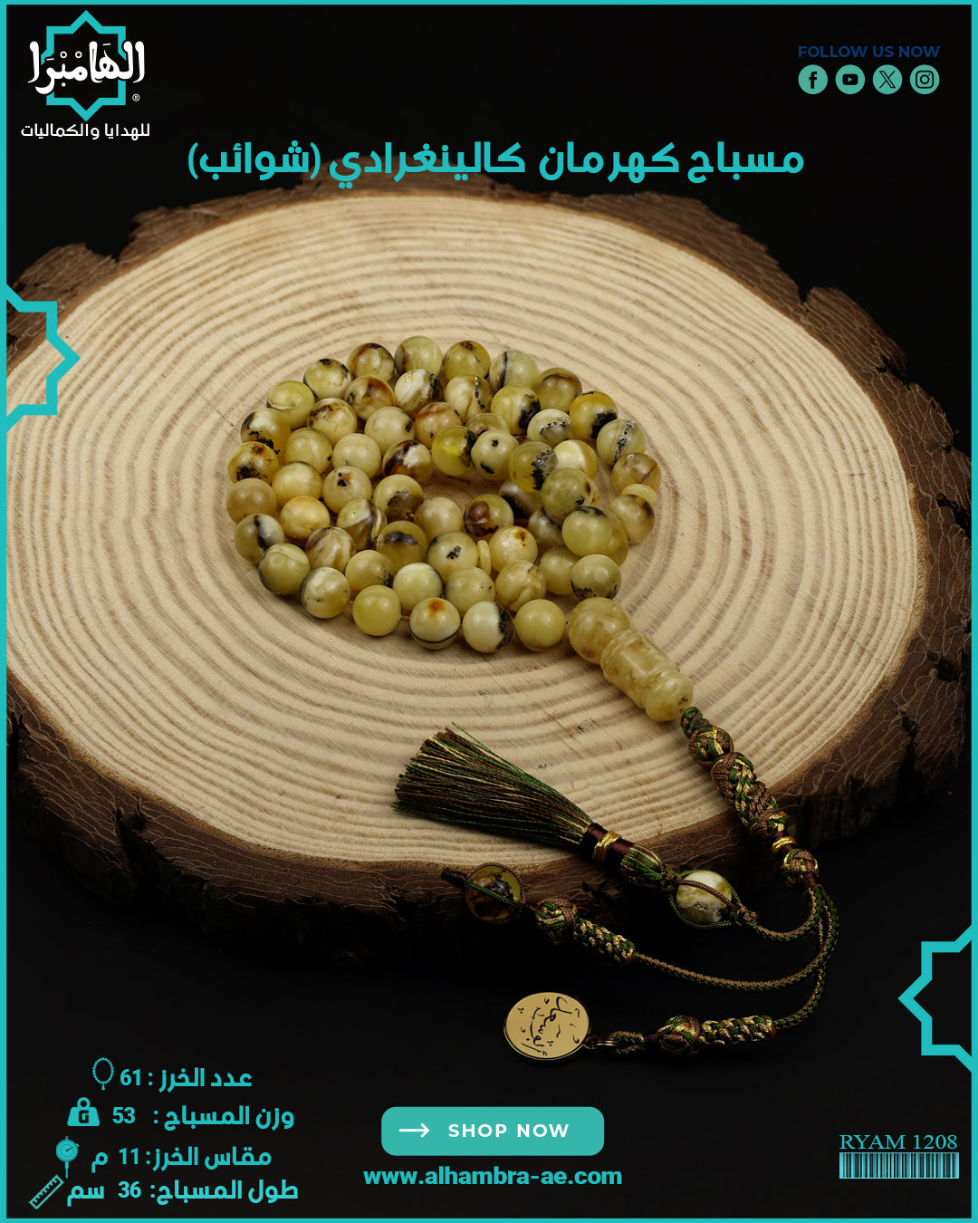كهرمان كالينغرادي