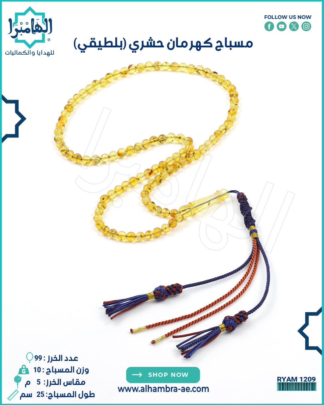 كهرمان حشري
