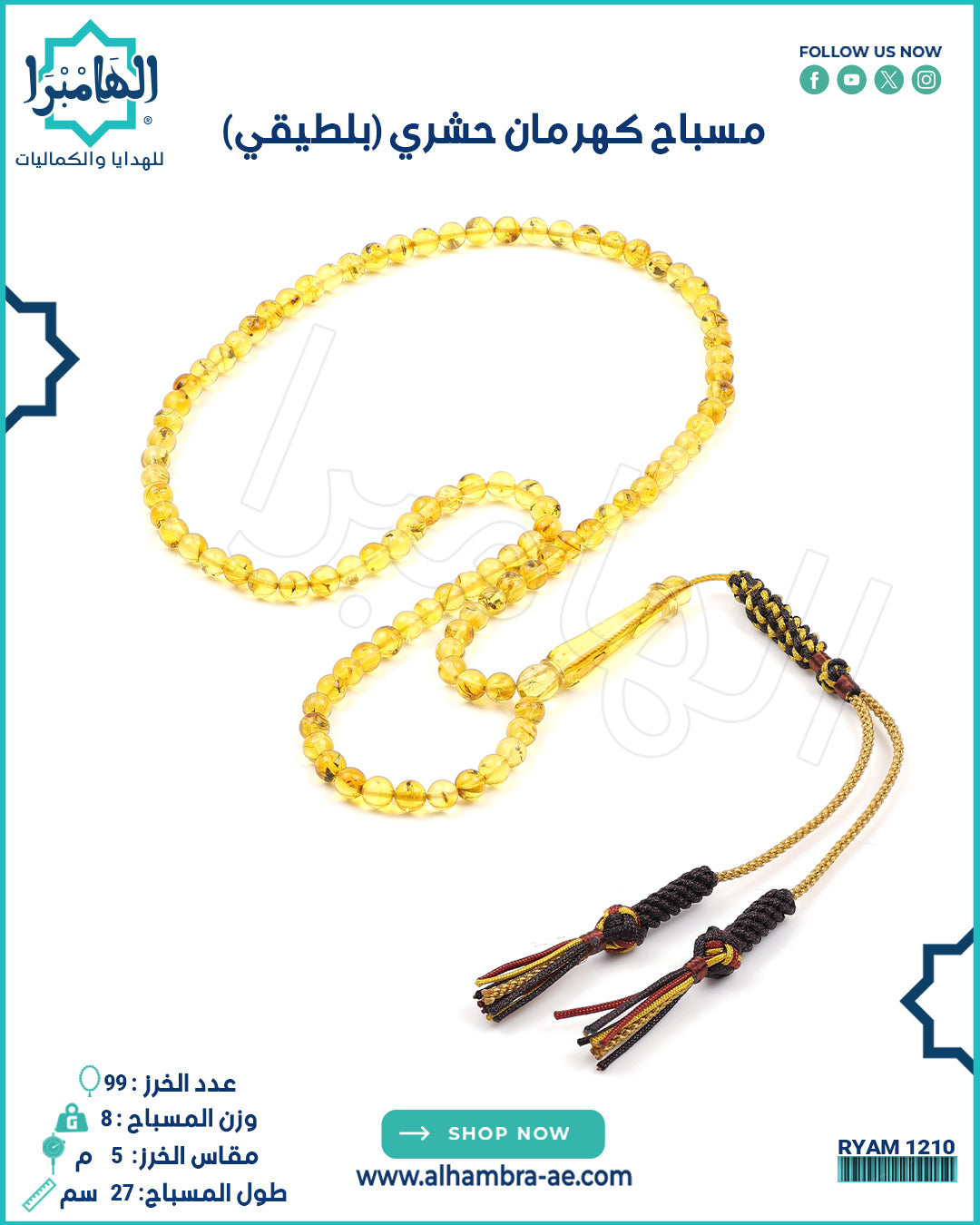 كهرمان حشري