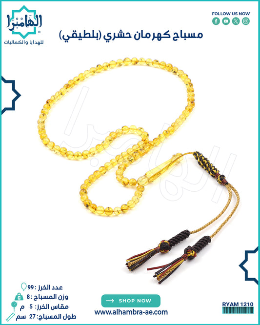 كهرمان حشري