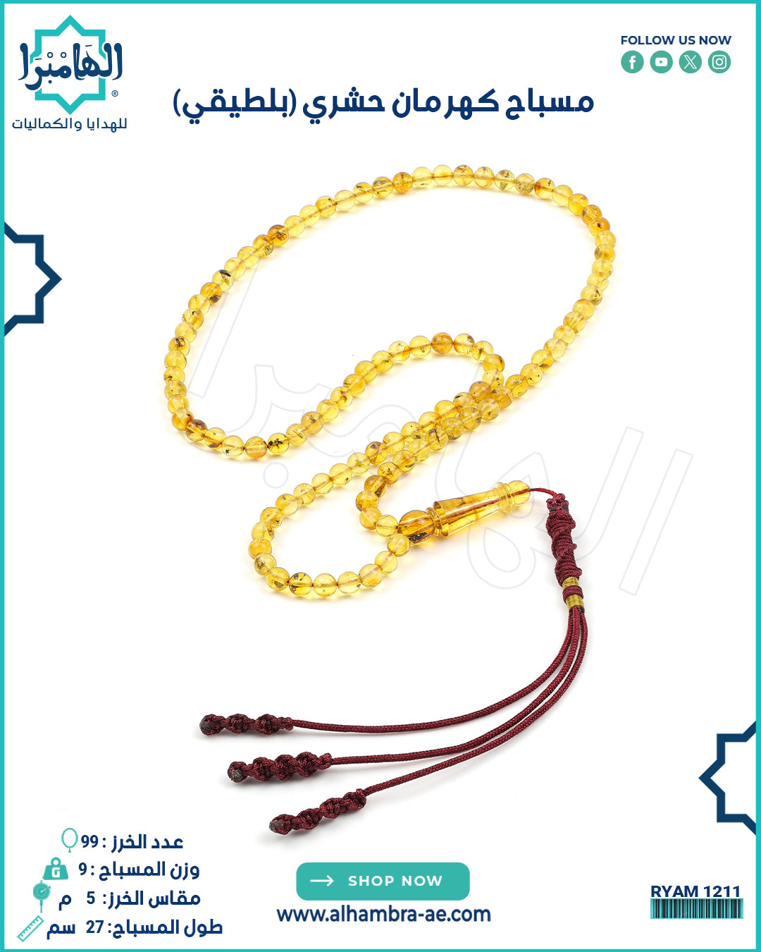 كهرمان حشري