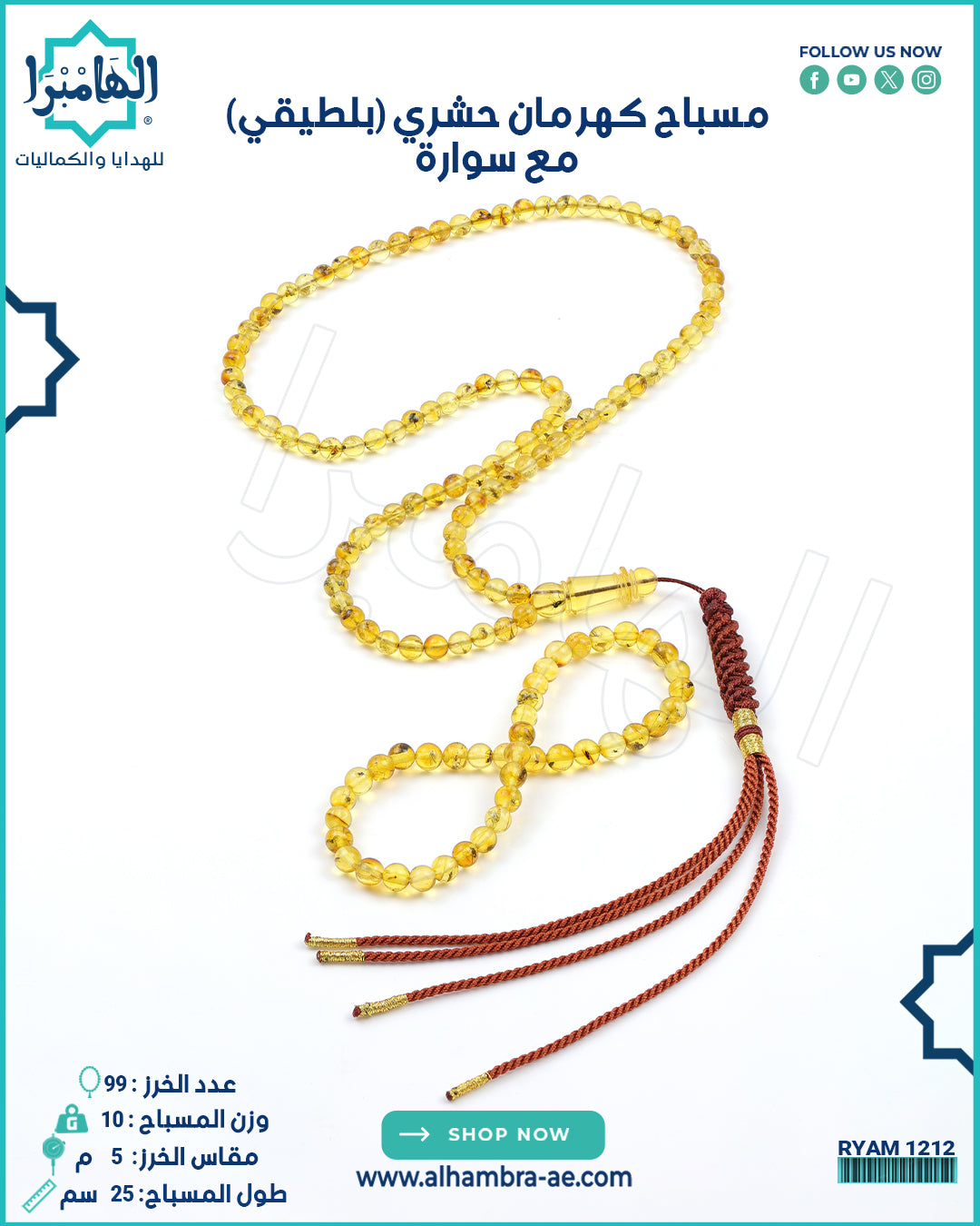 كهرمان حشري