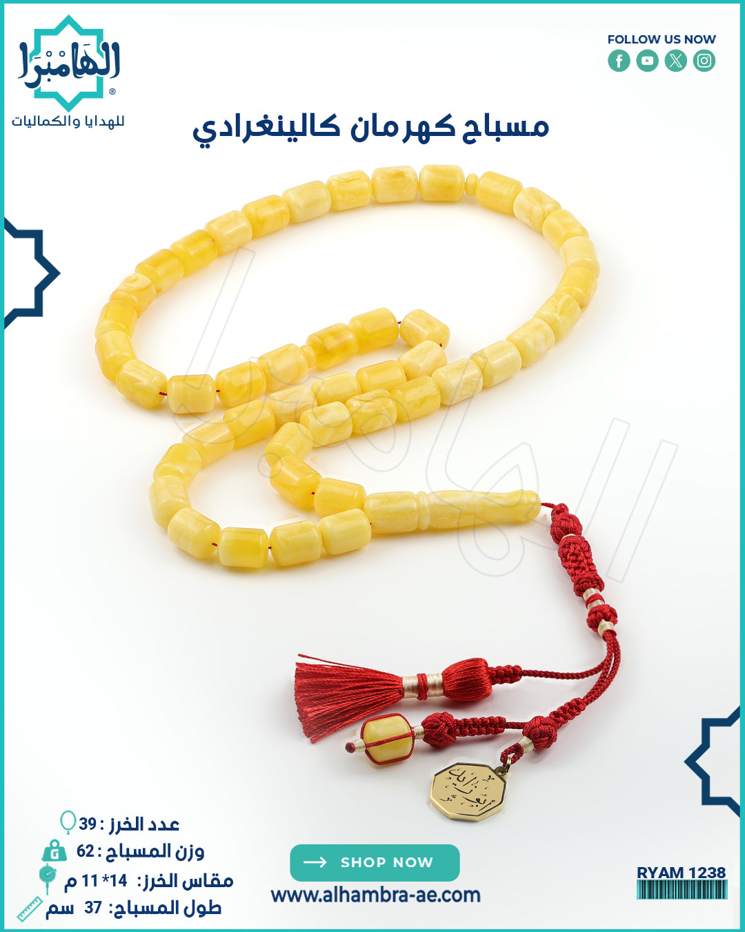 كهرمان كالينغرادي