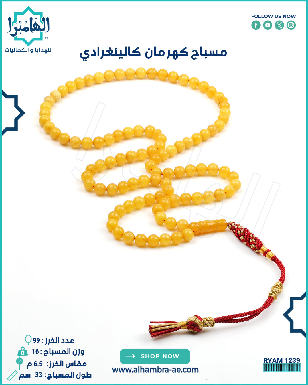 كهرمان كاينغرادي