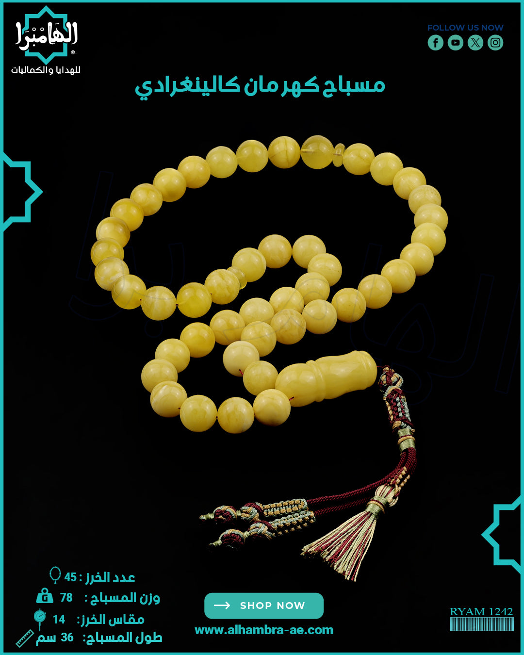 كهرمان كالينغرادي