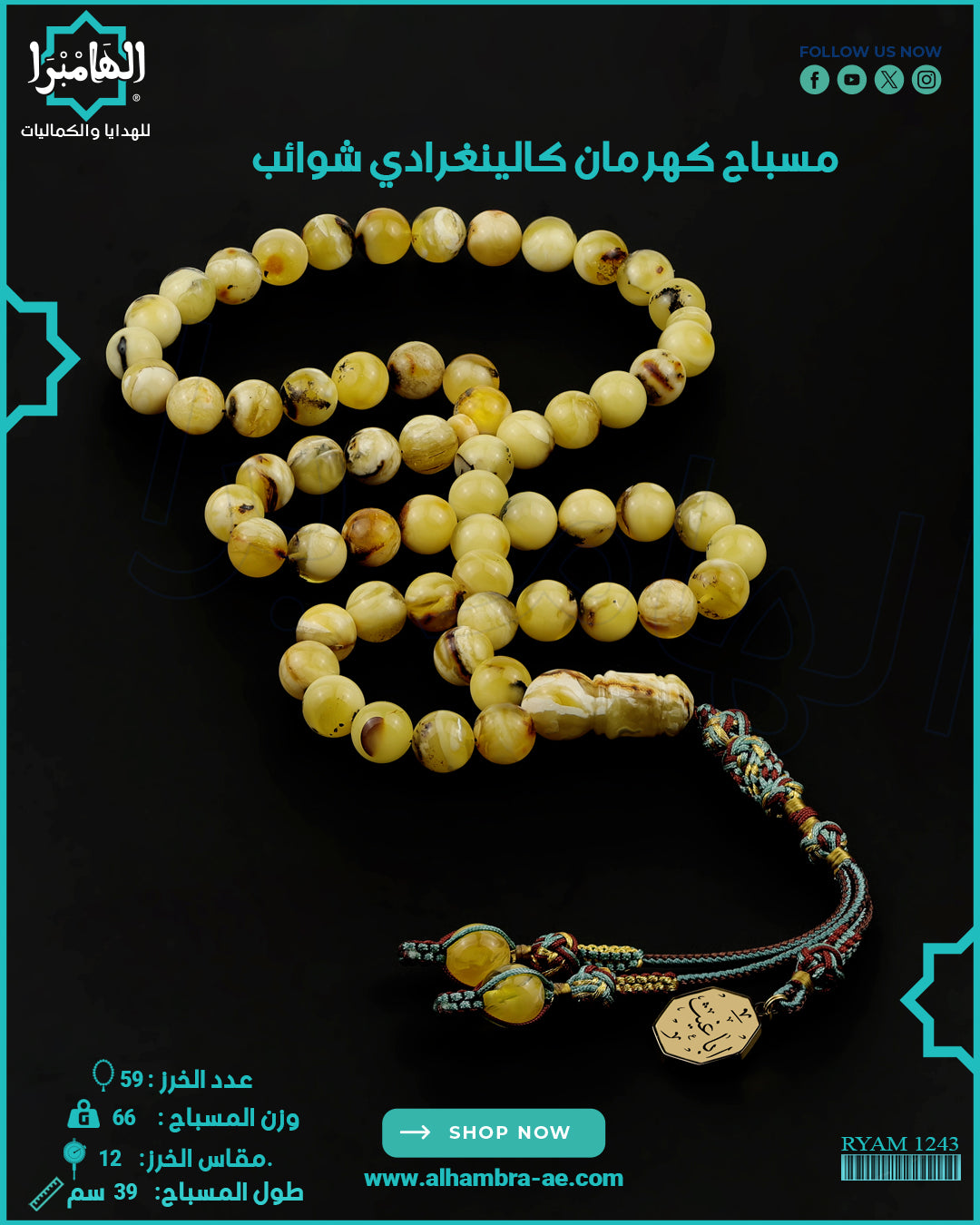 كهرمان شوائب