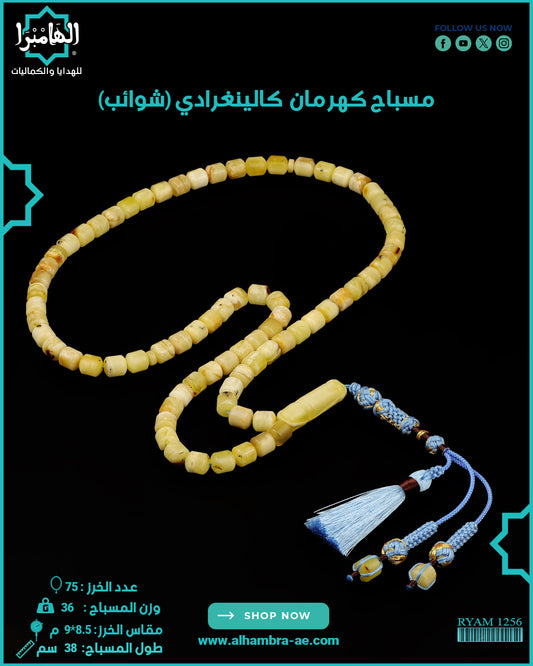 كهرمان شوائب