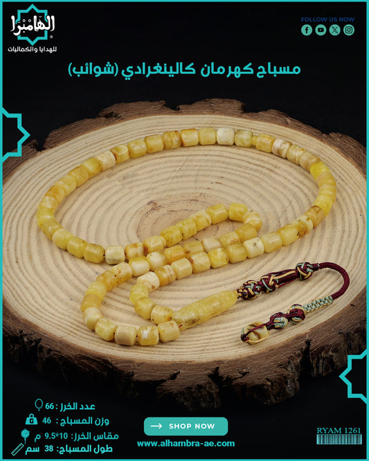 كهرمان شوائب