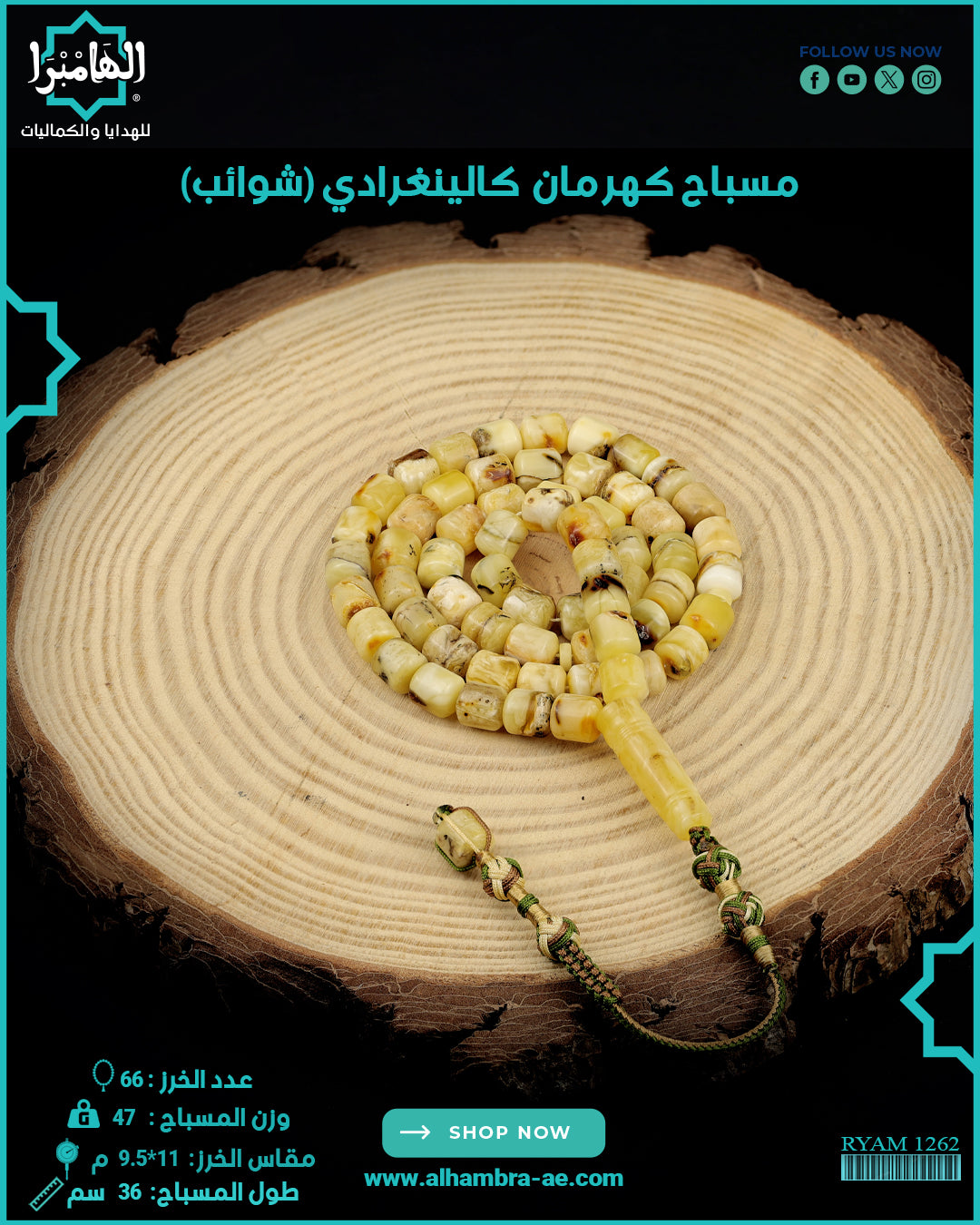 كهرمان كالينغرادي