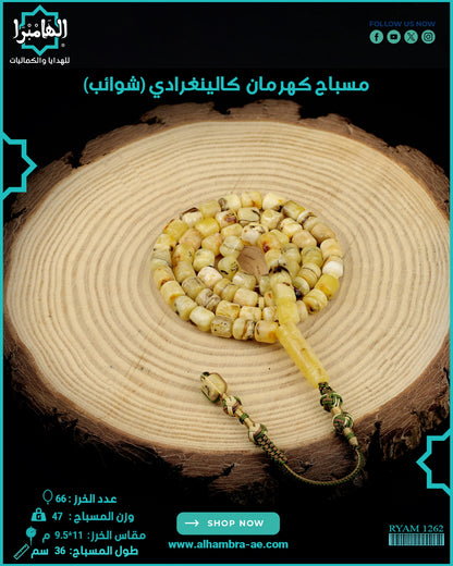 كهرمان كالينغرادي