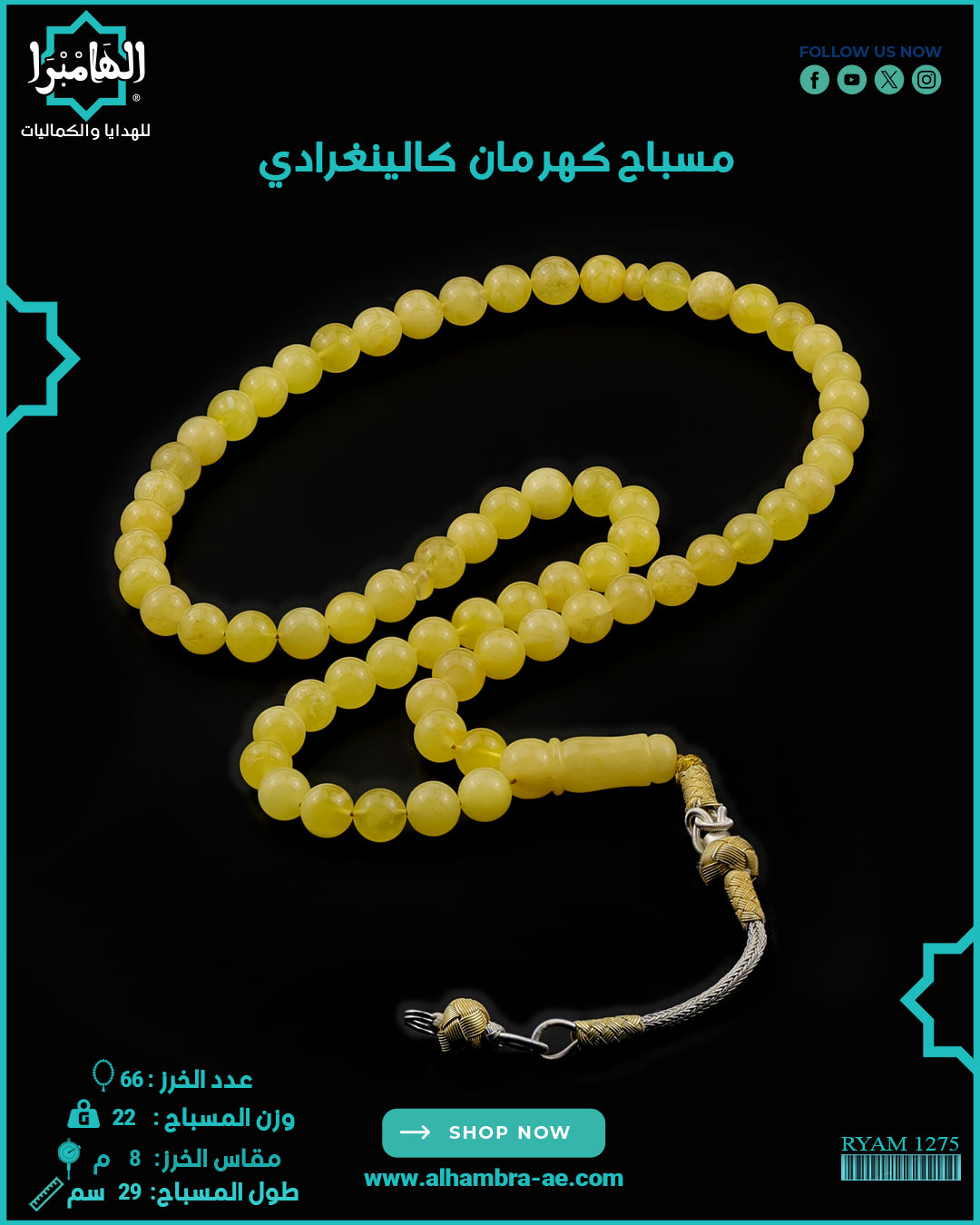 كهرمان كالينغرادي