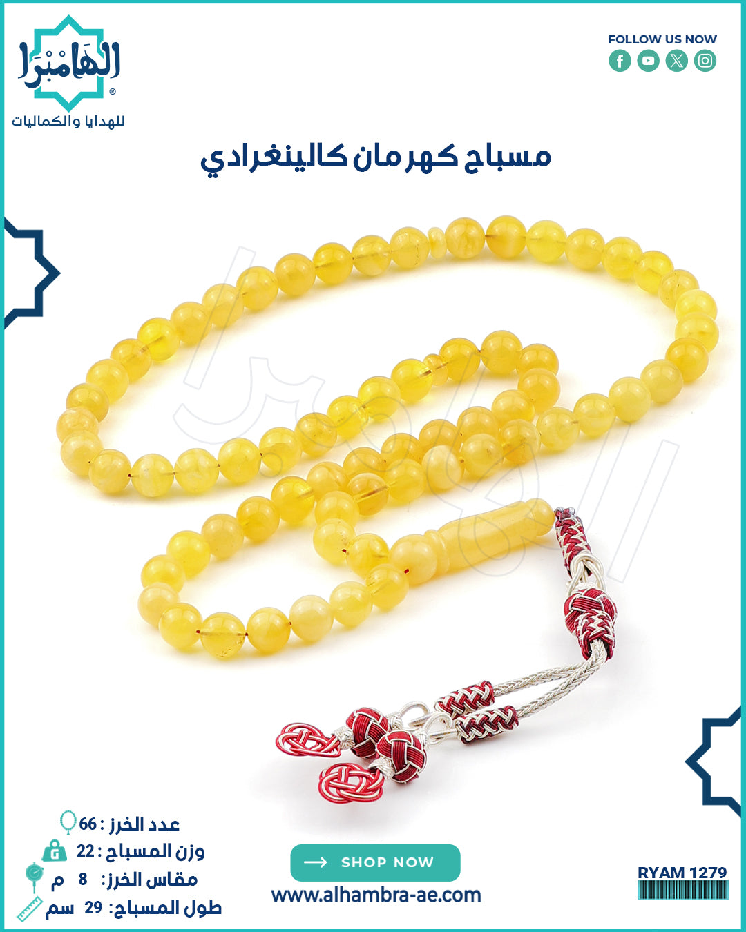 كهرمان كالينغرادي