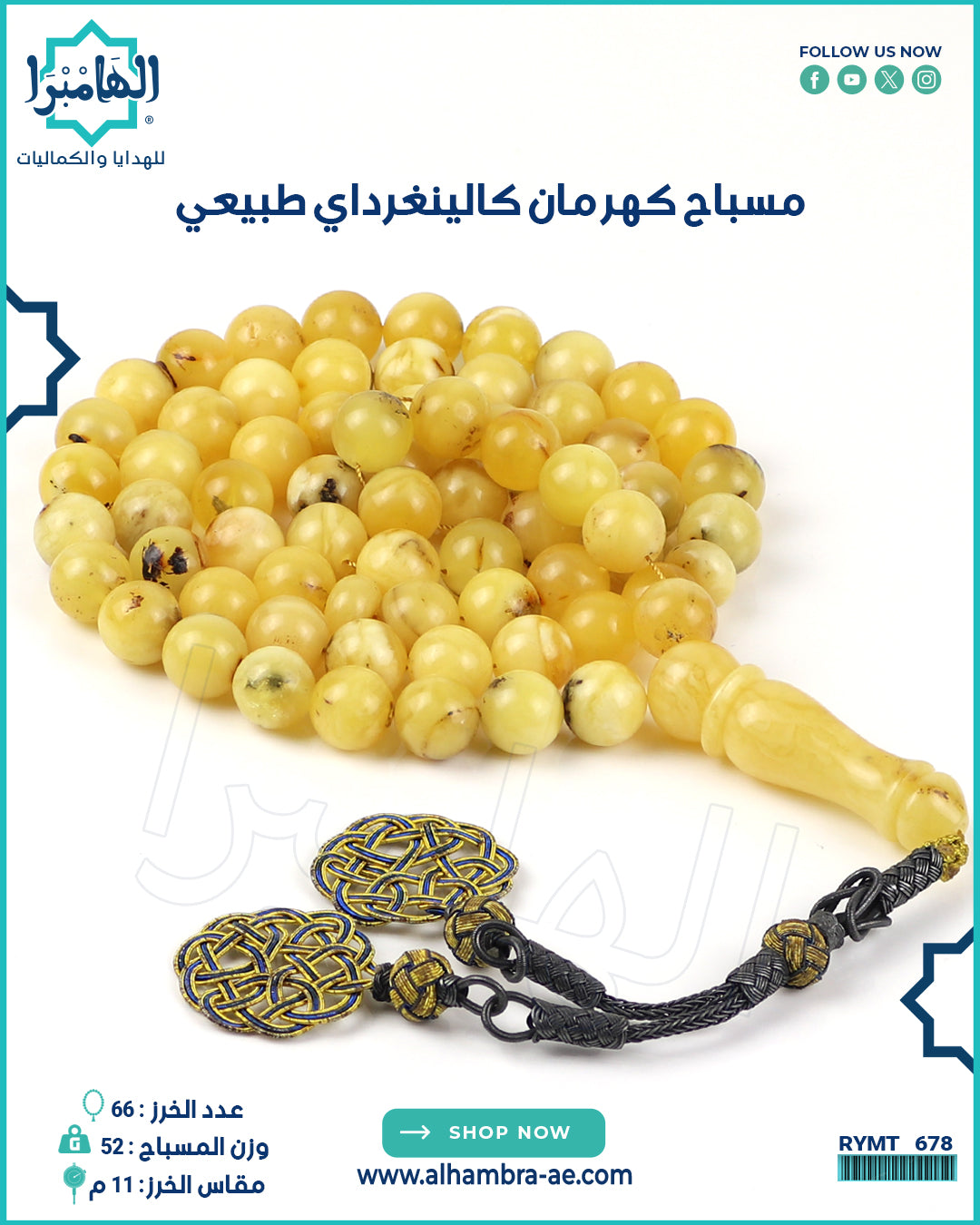 مسباح كهرمان كالينغرادي طبيعي