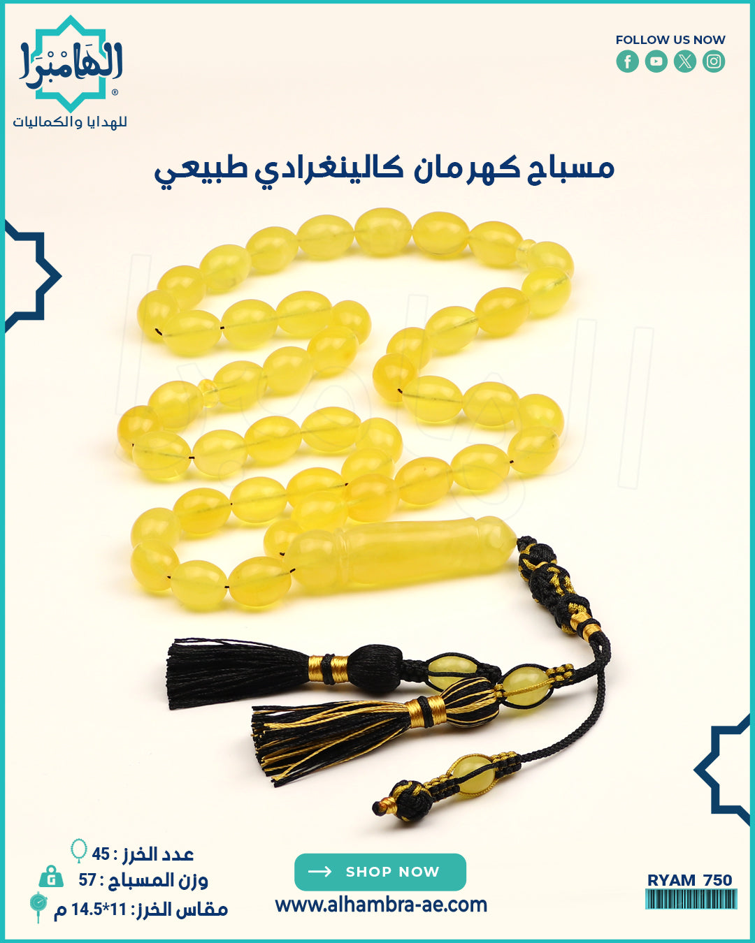 مسباح كهرمان كالينغرادي طبيعي
