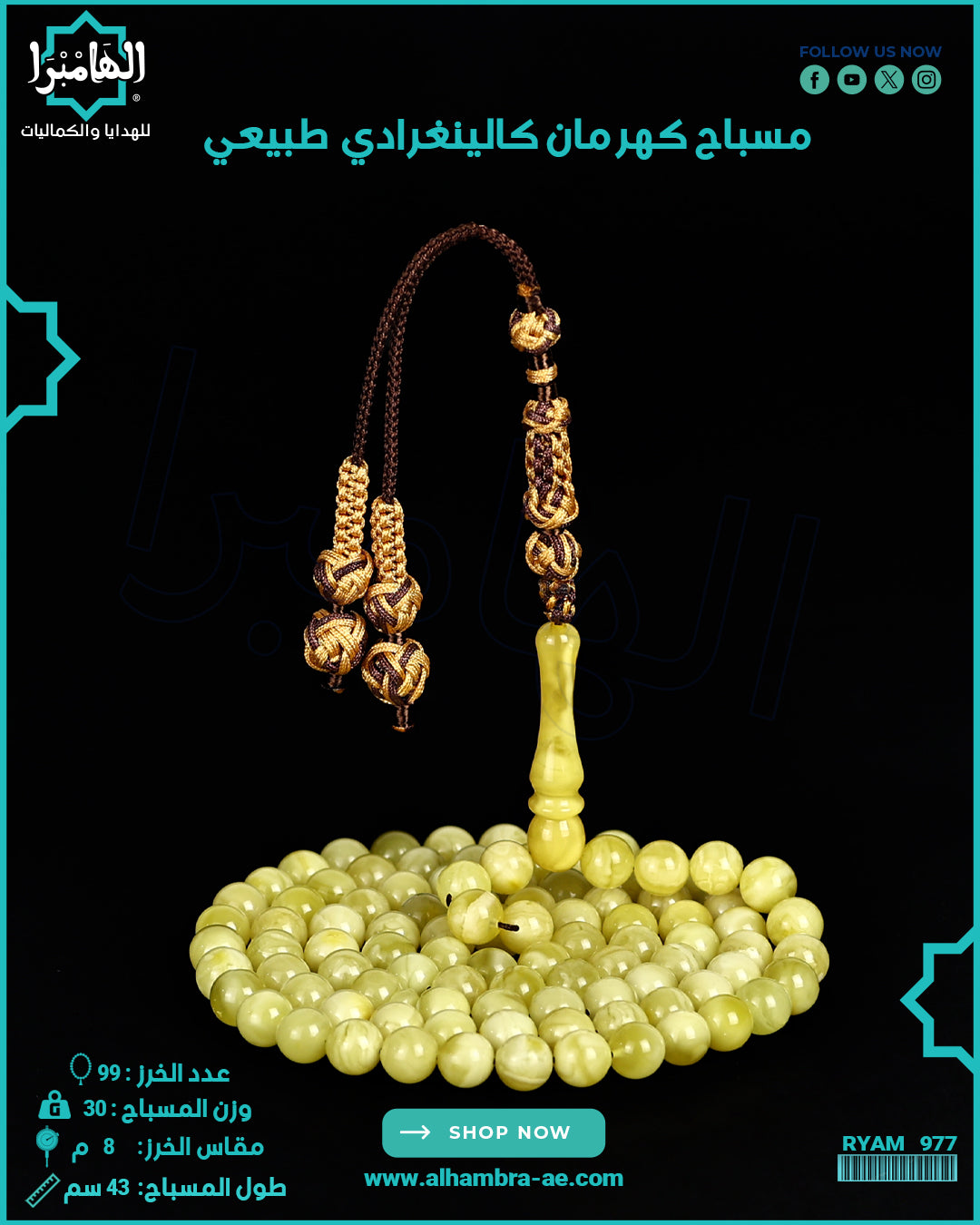 مسباح كهرمان كالينغرادي