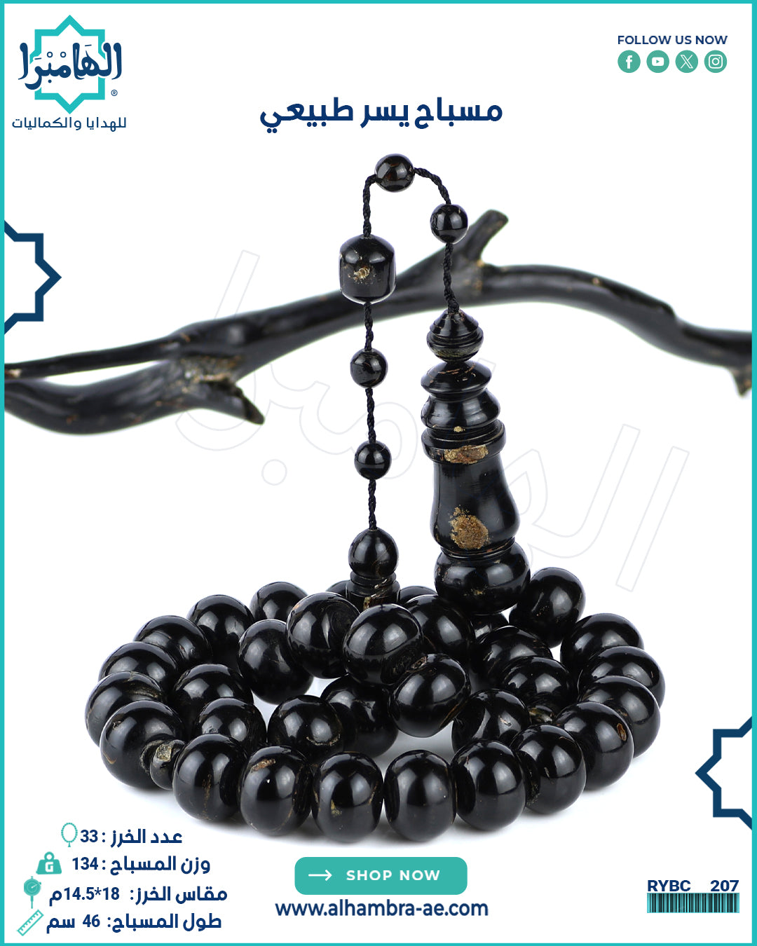 مسباح مرجان اسود طبيعي (يسر)