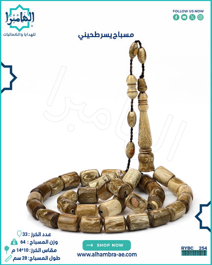 يسر طحيني