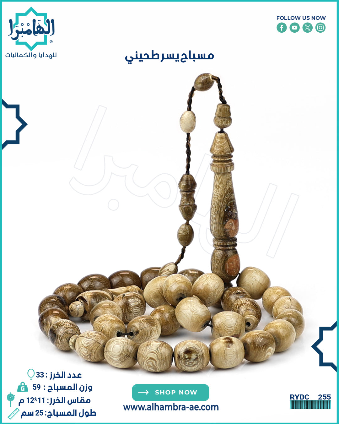 يسر طحيني