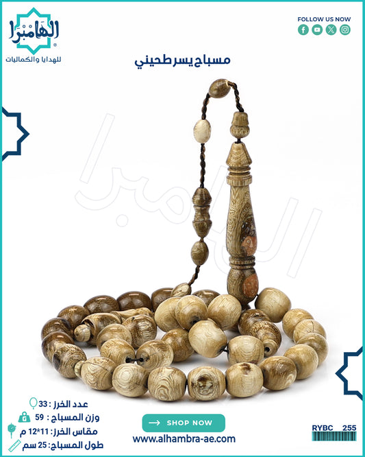 يسر طحيني