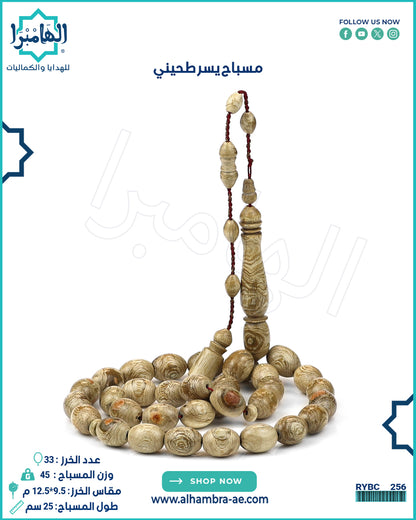 يسر طحيني