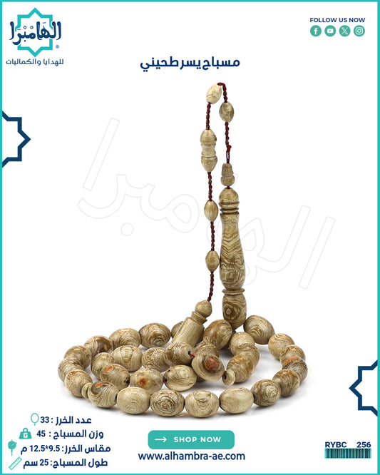 يسر طحيني