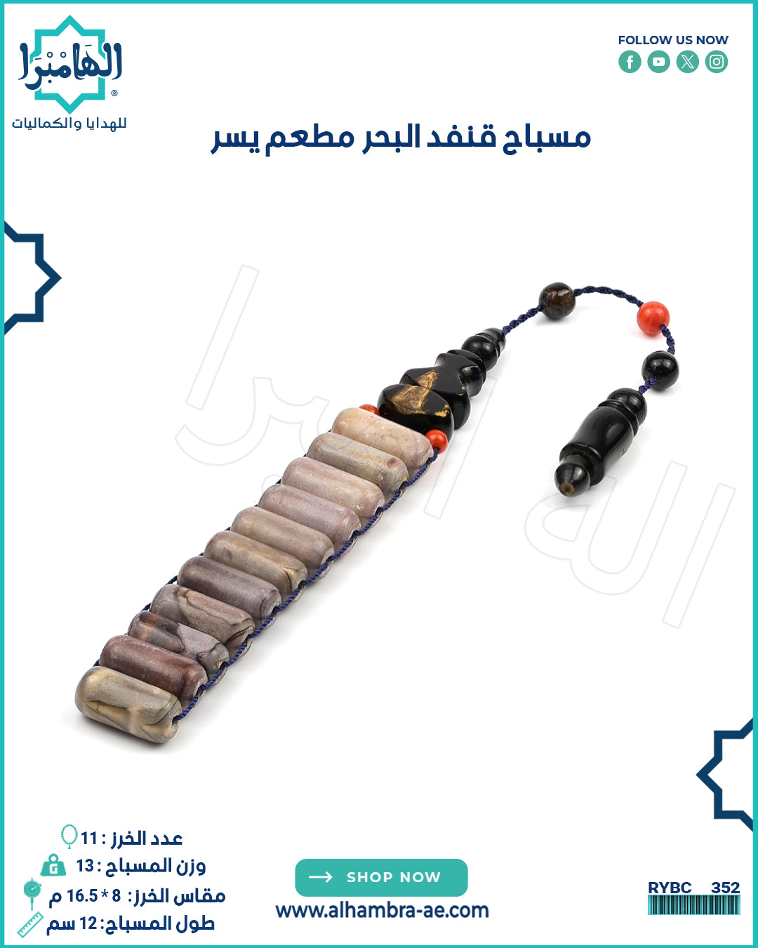 مسباح قنفد البحر