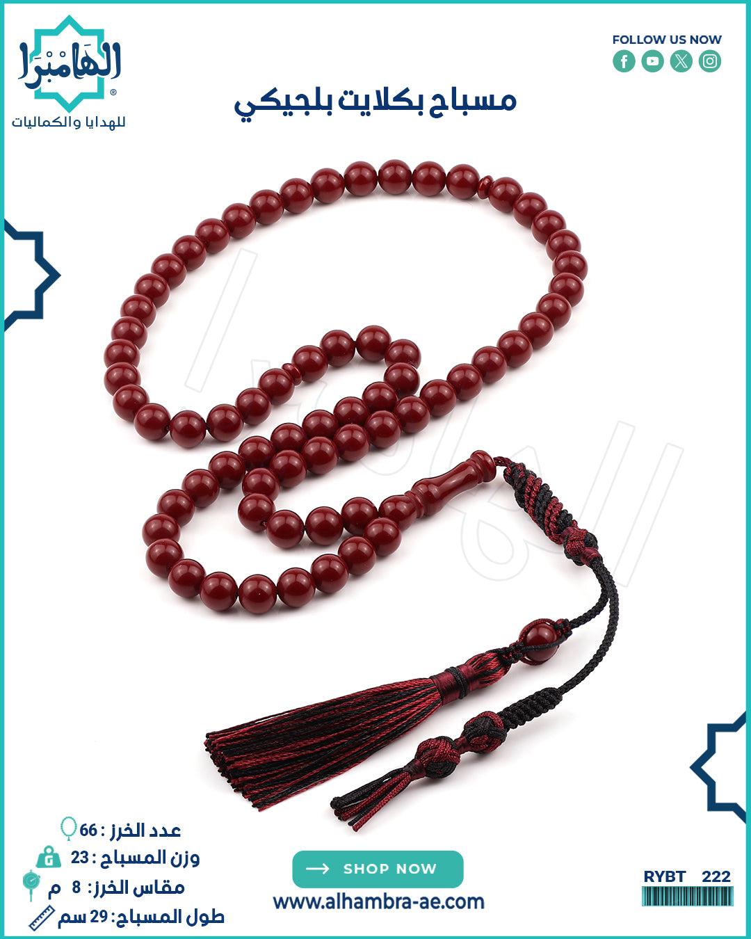 بكلايت بلجيكي