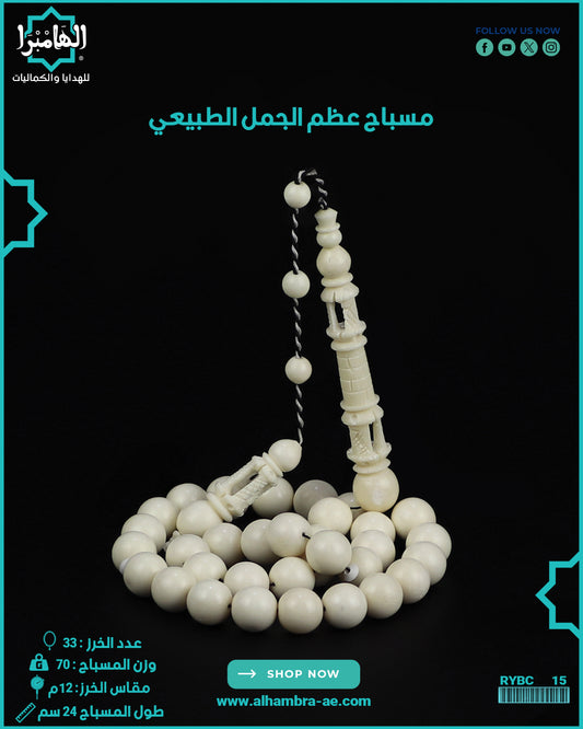 مسباح عظم الجمل الطبيعي