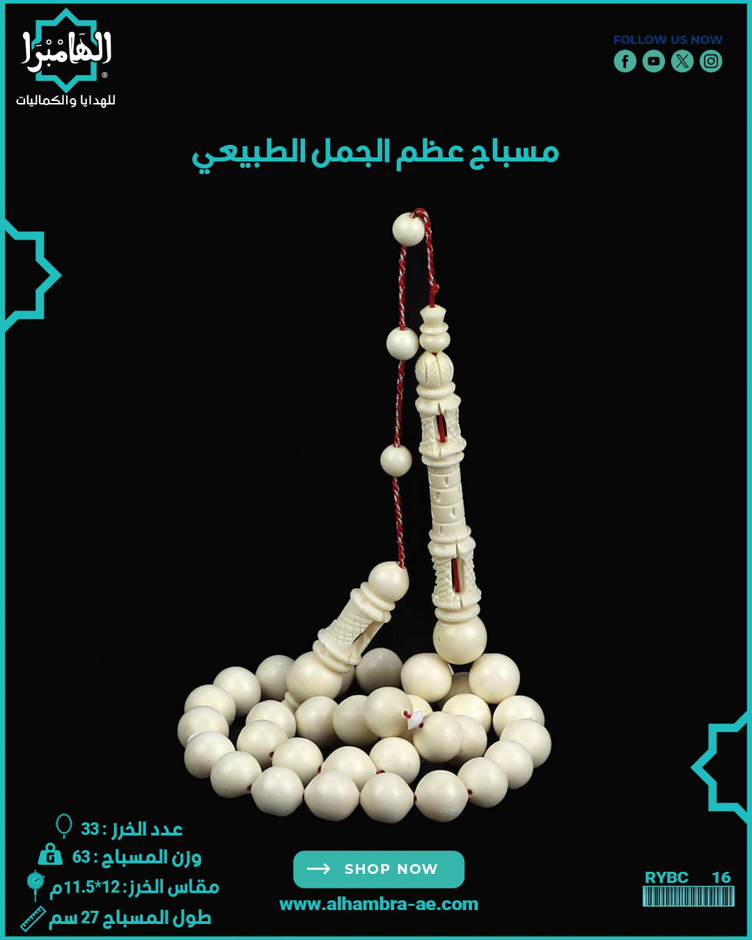 مسباح عظم الجمل الطبيعي