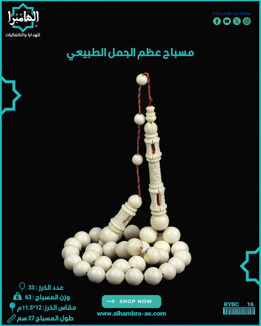 مسباح عظم الجمل الطبيعي