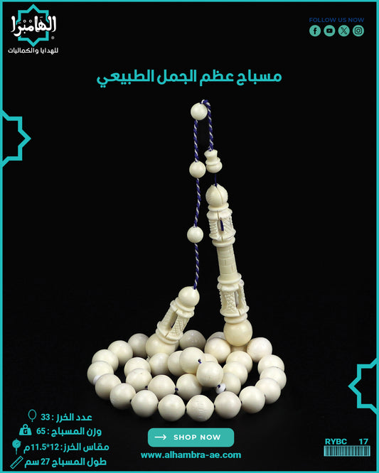 مسباح عظم الجمل الطبيعي