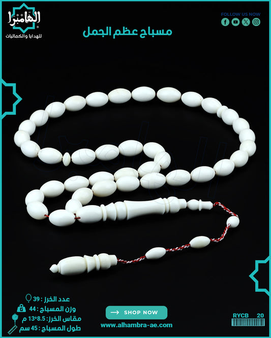 عظم
