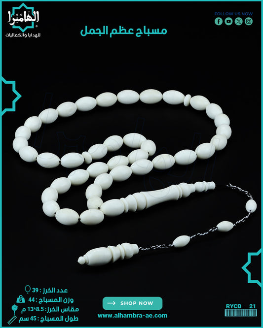 مسباح عظم الجمل الطبيعي