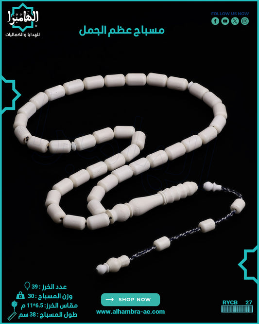 مسباح عظم الجمل الطبيعي