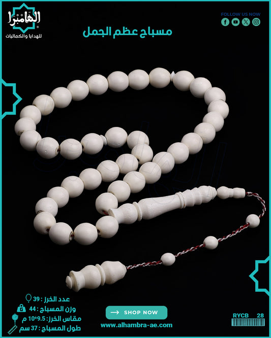 مسباح عظم الجمل الطبيعي