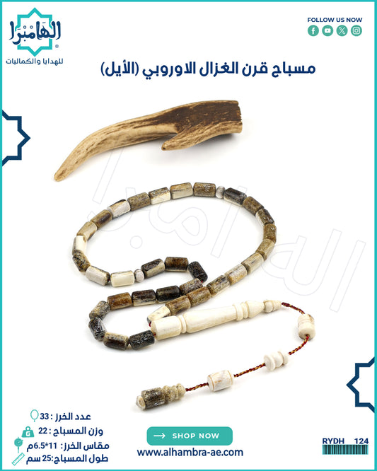 قرن الغزال