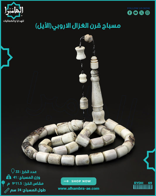 يسر طحيني