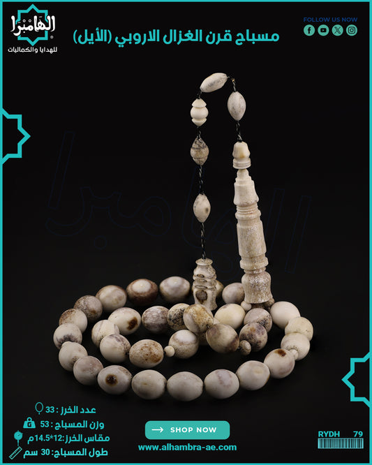 قرن الغزال الاوروبي