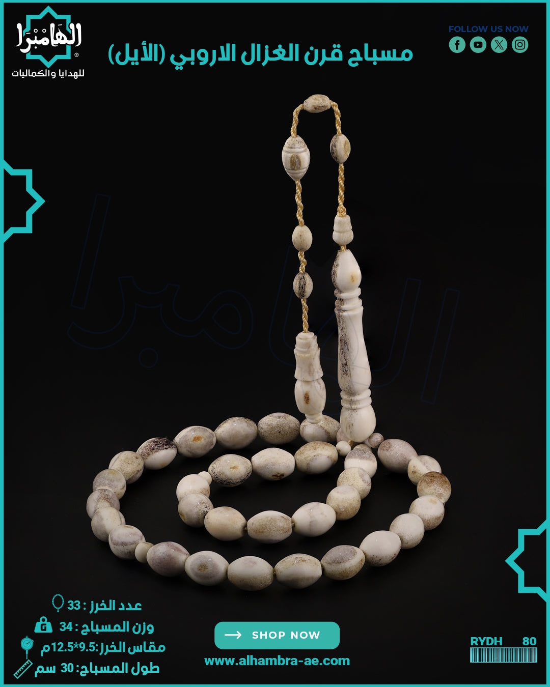 مسباح قرن الغزال الاوروبي