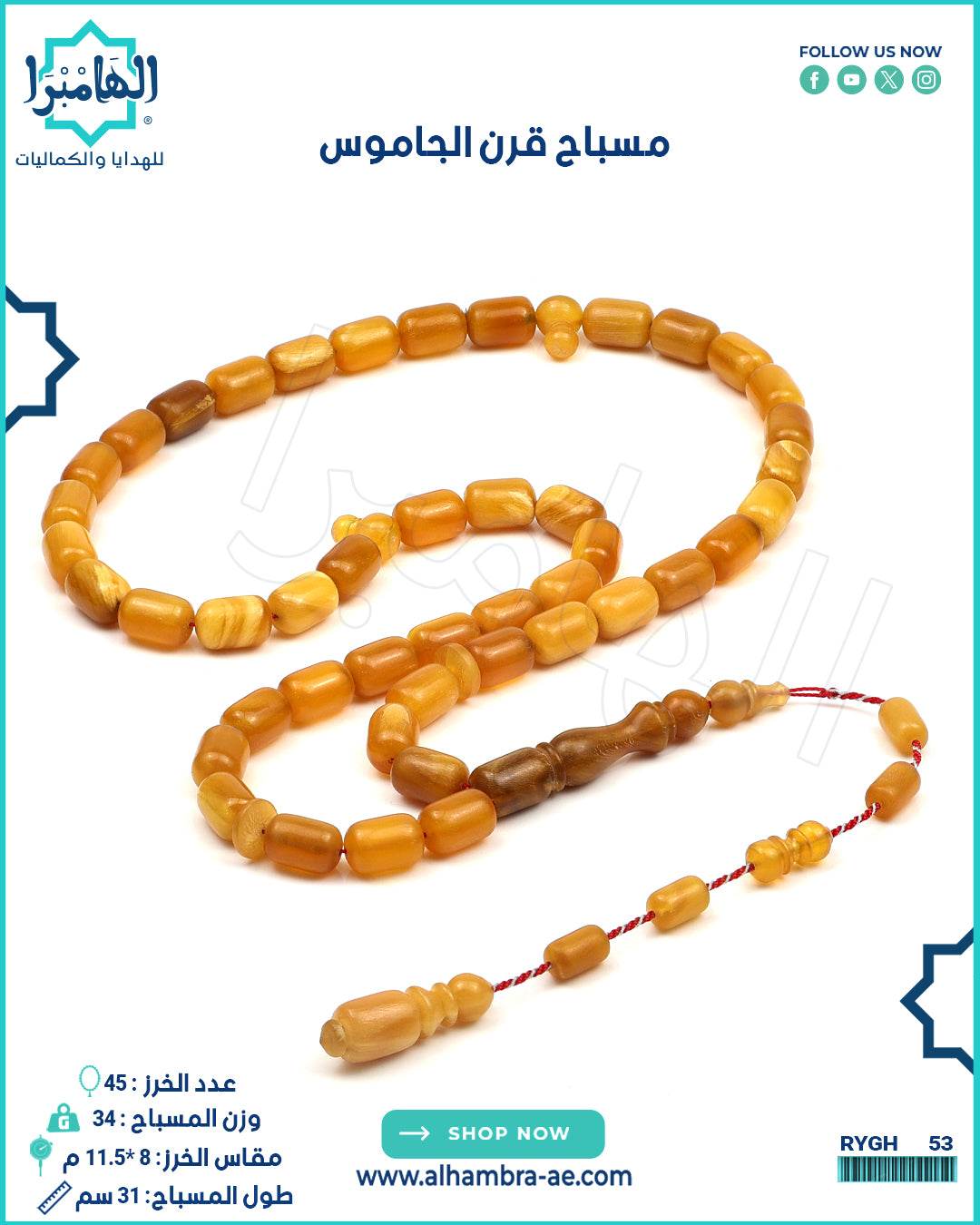 قرن الجاموس